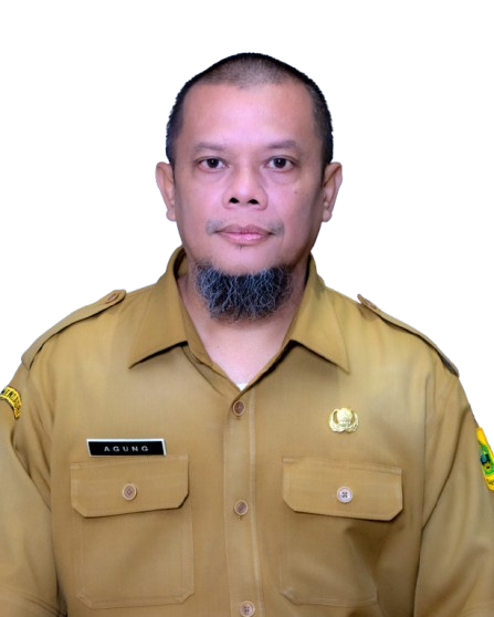 Photo Profile AGUNG GUSNARDI, S.Sos