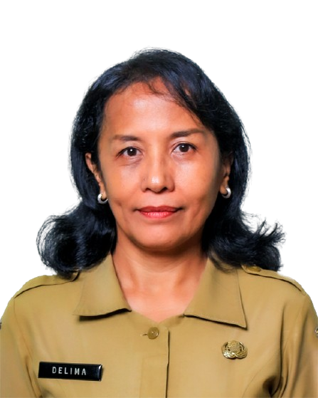 Photo Profile DELIMA HOTMARIA, S.Kom