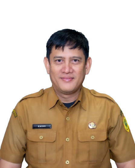 Photo Profile ENDRI SETIANA, SE
