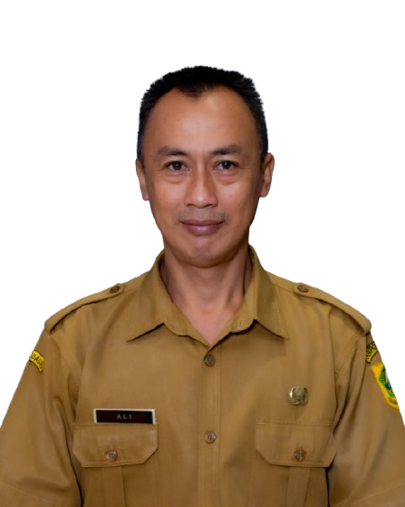 Photo Profile ALI, S.E