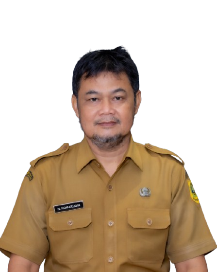 Photo Profile NUNUR KOMARUDIN