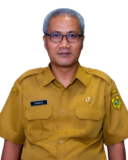 Photo Profile SISWOYO, S.E